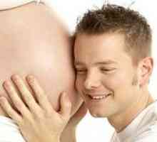 Atunci când așteptați prima mutare copil in timpul sarcinii?