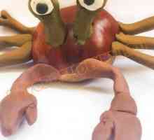 Crab din lut și castan - pentru copii de 3-4 ani