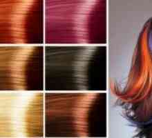 Vopsele pentru colorarea părului. Paleta de culori, fotografii