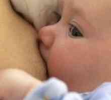 Lactostasis la mamele care alăptează: cauze, simptome, tratament si prevenire. Hrănirea copilului…