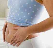 Mânji pe 5 săptămâni gravidă