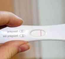 Ar putea fi la un test de sarcină negativ? Posibile nuanțe ale rezultatelor testelor negative.