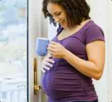 Este posibil ca femeile gravide ceai verde?