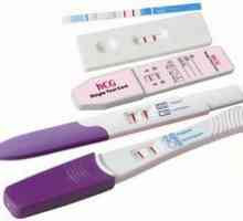 Putem face un test de sarcina in timpul menstruatiei?