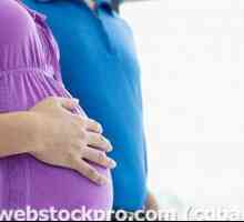 La luna nouă de sarcină - alocare, sex, stomac și dezvoltării fetale