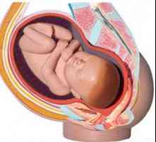 Placentation scăzut în timpul sarcinii - Care sunt șansele?