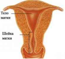 Lungimea de col uterin normal în timpul sarcinii