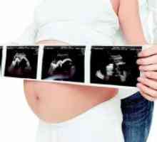 Greutatea normala fetale în 26 de săptămâni de sarcină