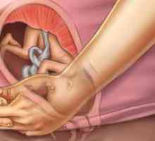 Greutatea normala fetale în 27 de săptămâni de sarcină