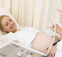 Standarde și deviație grosime placenta