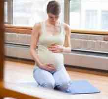 Formare înainte de naștere? Masa rotundă privind educația prenatală