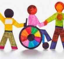 Principiile de bază ale educației copiilor cu dizabilități
