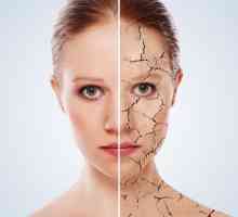 Caracteristici de îngrijire a pielii uscate a feței