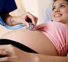 Prima bucurie a maternității - fetale circulație în timpul sarcinii (primul, al doilea și al…