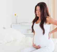Dureri osoase ce pubian în timpul sarcinii