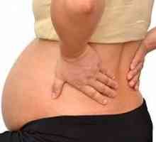 Rinichi în timpul sarcinii