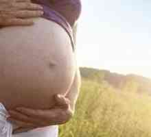 Furnicaturi in uter in timpul sarcinii