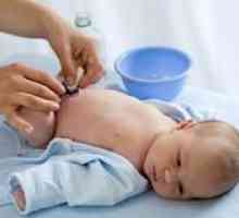 Reguli de procesare buric nou-născuți