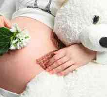 Progesteronul în timpul sarcinii: norma de săptămâni, tabelul