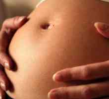 Dezvoltarea de sarcină: 26 săptămâni