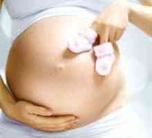 Dezvoltarea de sarcină: 28 săptămâni
