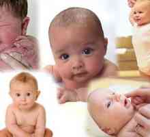 Săptămâna dezvoltării fetale de săptămâni. Imagini, poze si descriere