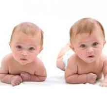 Nașterile de gemeni: Ce trebuie să știți
