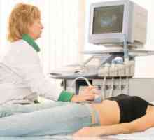 Cât de des cu ultrasunete în timpul sarcinii
