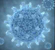 Infecția cu rotavirus la sugari