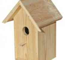 Birdhouse de casa pentru păsări