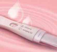 Testul cel mai sensibil pentru sarcină