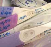 Testul cel mai precis pentru sarcină