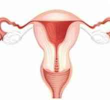 Uter în formă de șa și sarcina