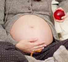 Caracteristici de sezon de sarcină