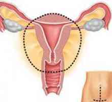 Colul uterin în timpul sarcinii
