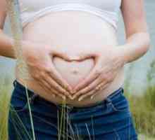 Plug Mucusul în timpul sarcinii - Ce face?