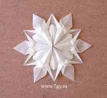 Hârtie origami fulg de nea. Video.
