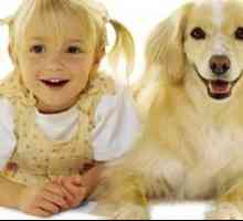 Câine pentru o familie cu copii - ce rasa de a alege?