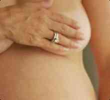 Mameloanele în timpul sarcinii