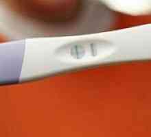 Test de sarcină cu jet de cerneală