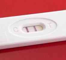 Testul de sarcină după FIV