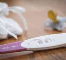 Test de sarcina dupa ovulatie