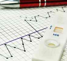 Ovulația test de sarcina