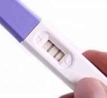 Benzi de test de sarcină