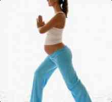 Exercitarea în timpul sarcinii