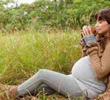 Sedative în timpul sarcinii și alăptării