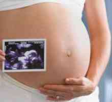Cu ultrasunete a fatului: 37 săptămâni