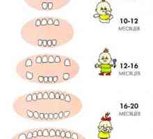 În cât de multe luni copilul dentitie?
