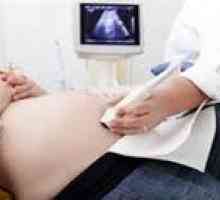 Harm cu ultrasunete în timpul sarcinii