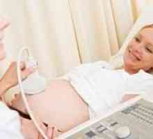 Are ultrasunete este dăunătoare în timpul sarcinii